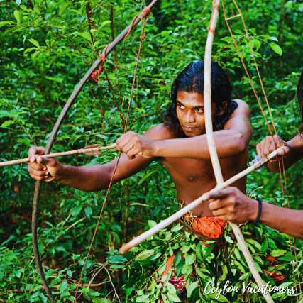 Vedda Sri Lanka